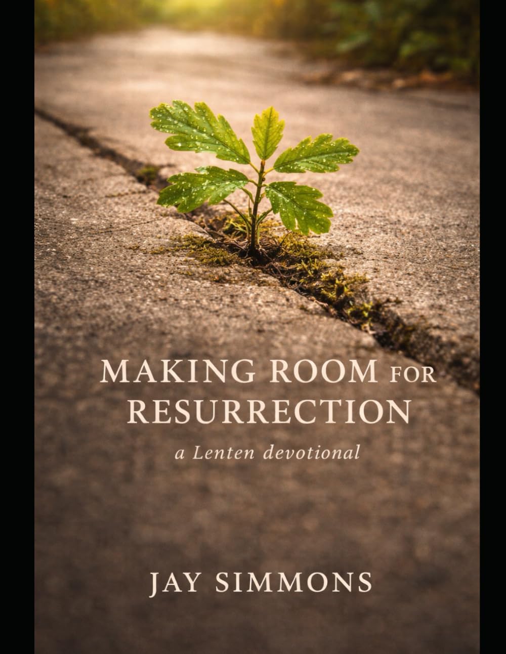 Cover of Making Room for Resurrection: A Lenten Devotional